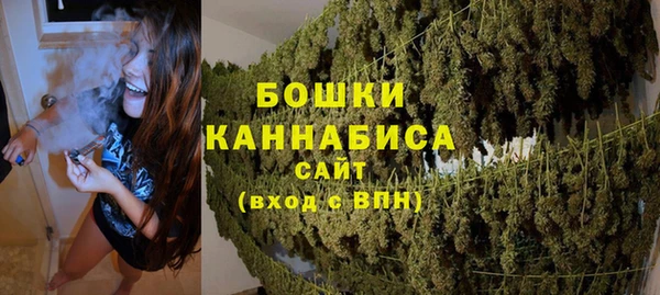 молекула духа Балахна