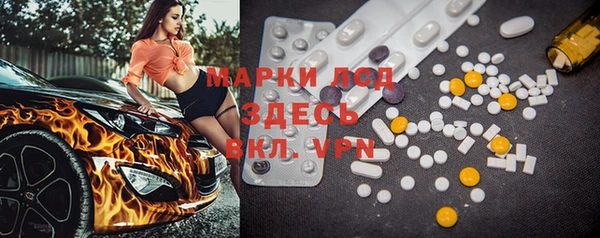 стафф Баксан