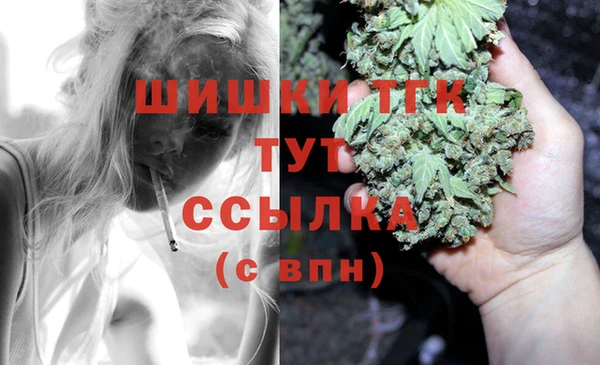 молекула духа Балахна