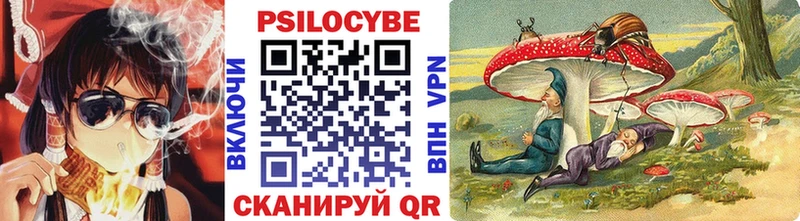 Псилоцибиновые грибы мицелий  хочу   Топки 